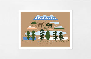 Arctic Tundra Poster in White Frame