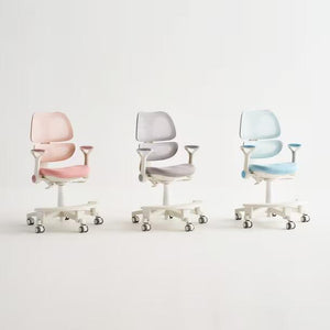 Able Smart Chair (accept pre-order)