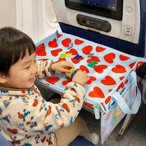 Airplane Bag