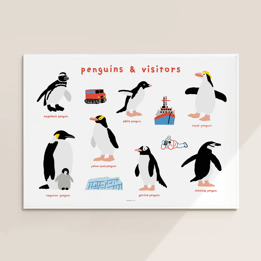 Penguins & Visitors in White Frame