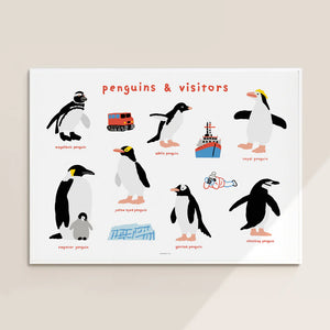 Penguins & Visitors in White Frame