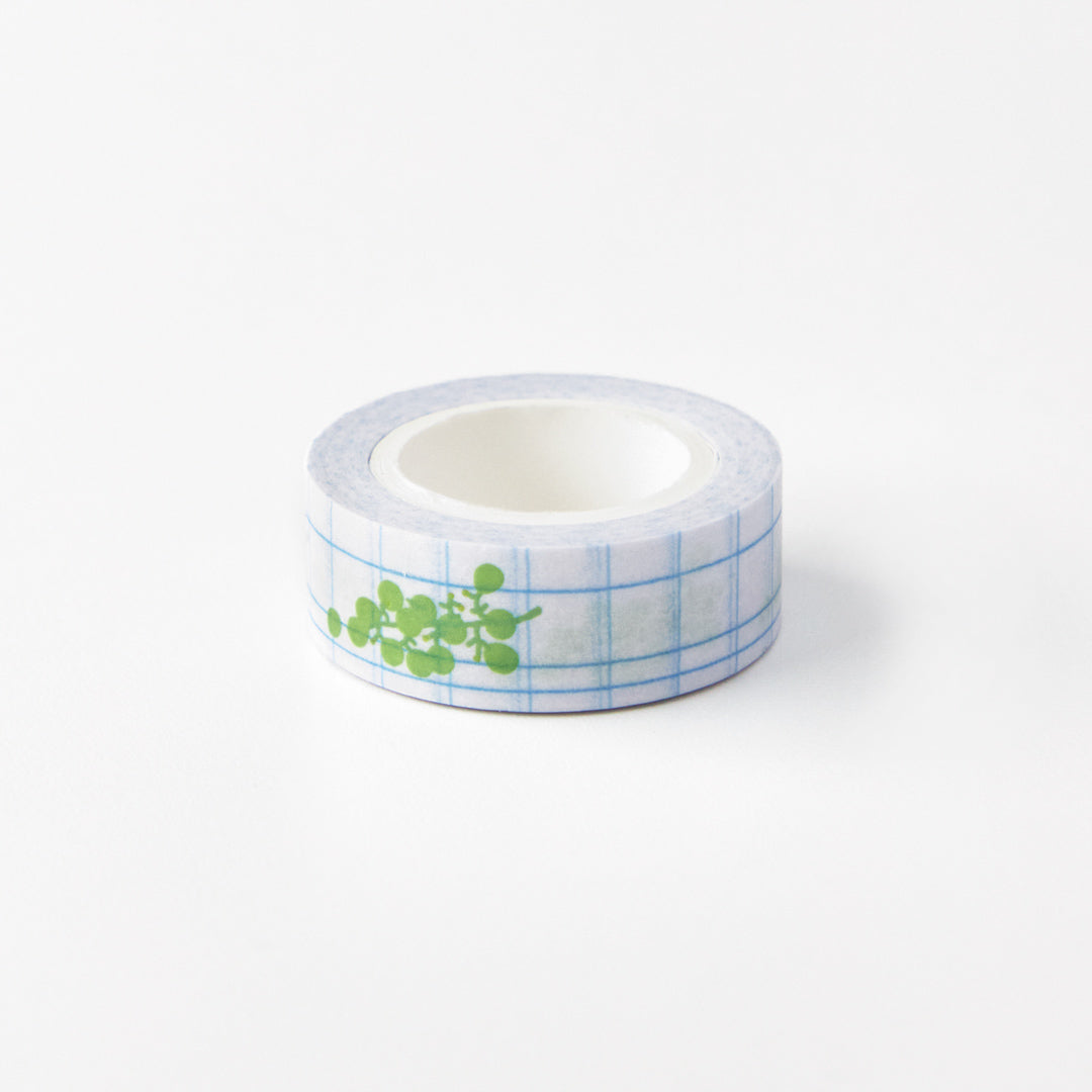 Masking Tape - Green Grape