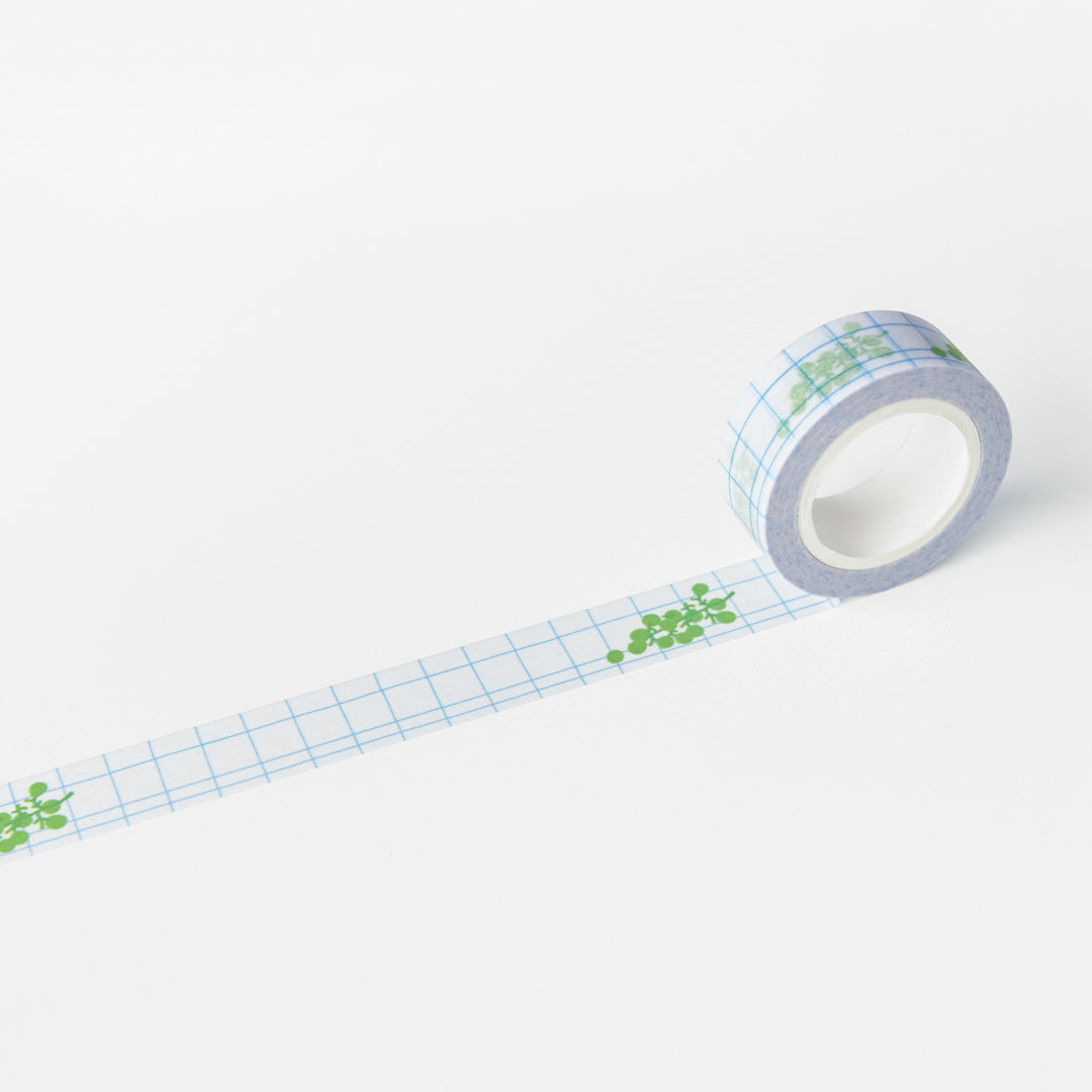 Masking Tape - Green Grape