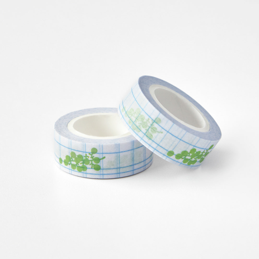 Masking Tape - Green Grape