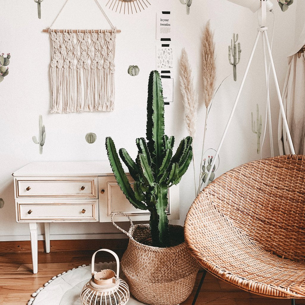 Easy Wall Sticker - Mini Cactus Garden