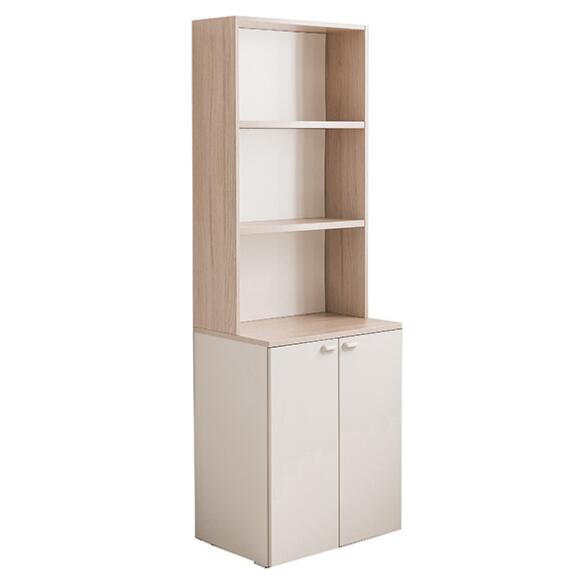 Ronan 600 2-Door Cabinet with Top Shelf (accept pre-order)