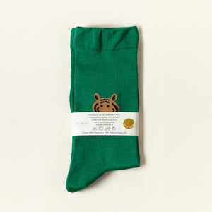 Socks - Meet Tiger Green