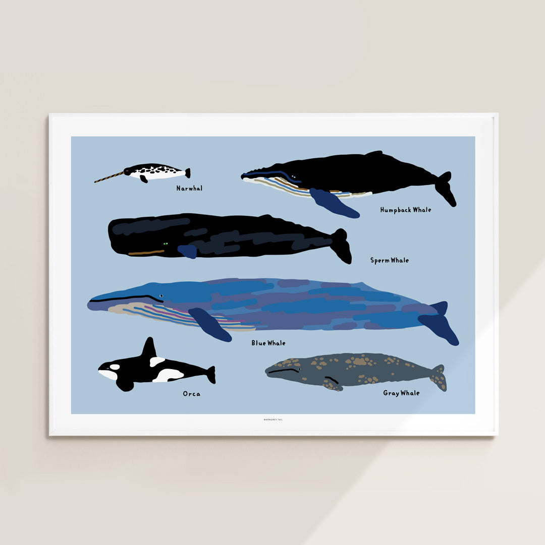 Whales Poster in White Frame