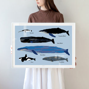 Whales Poster in White Frame