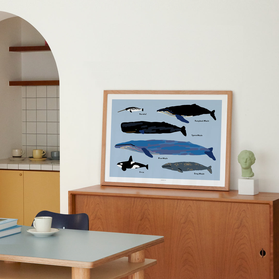 Whales Poster in White Frame