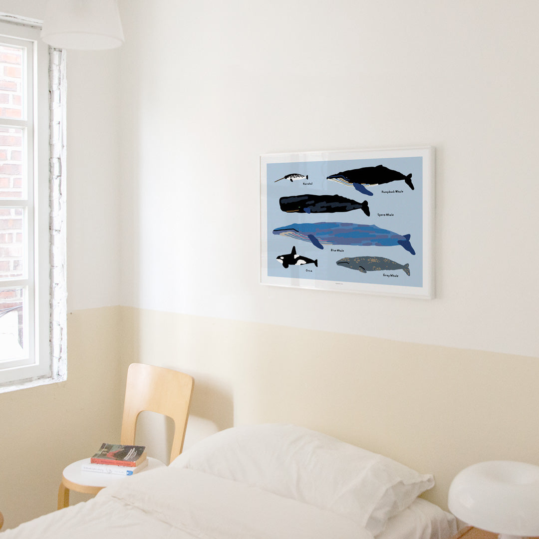 Whales Poster in White Frame