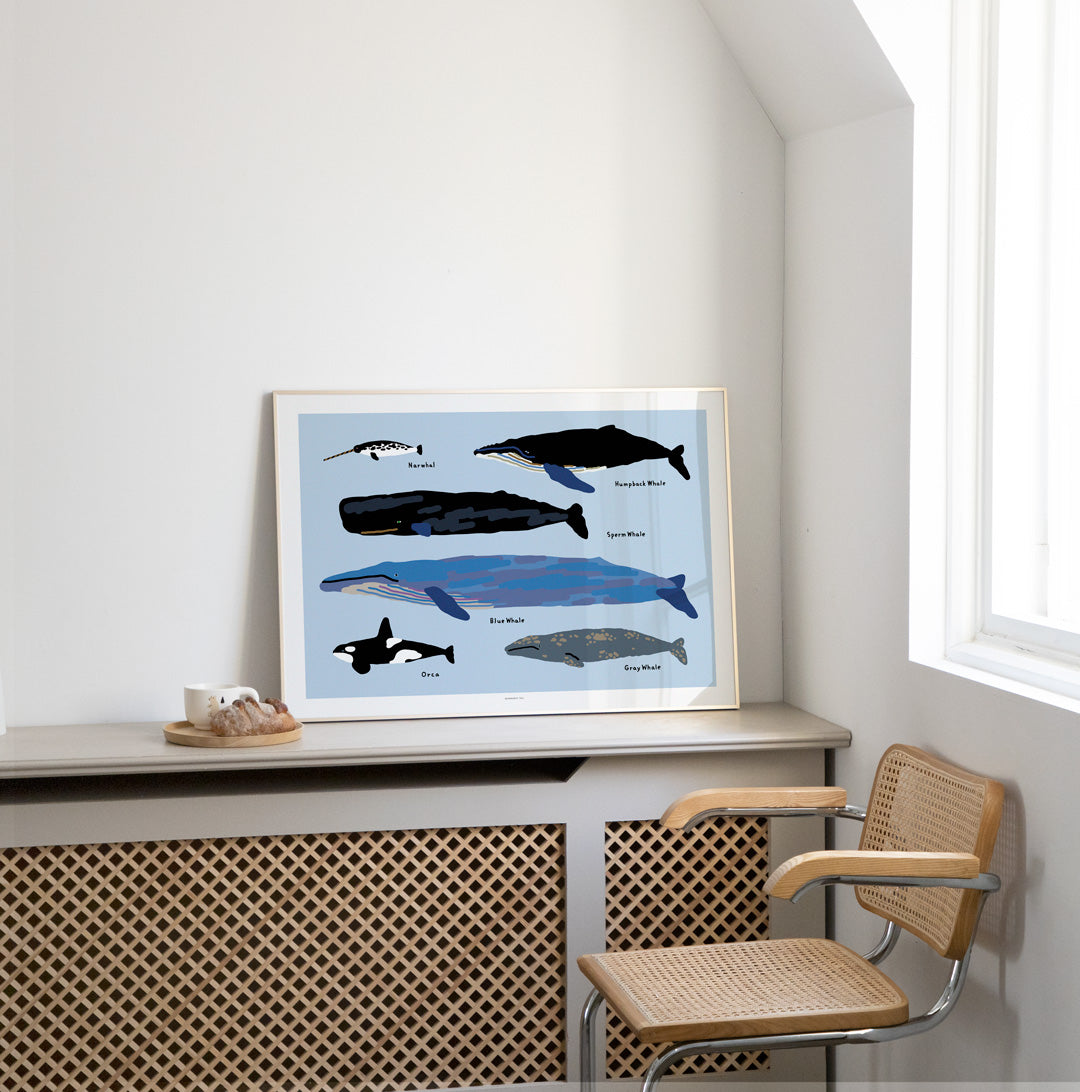 Whales Poster in White Frame