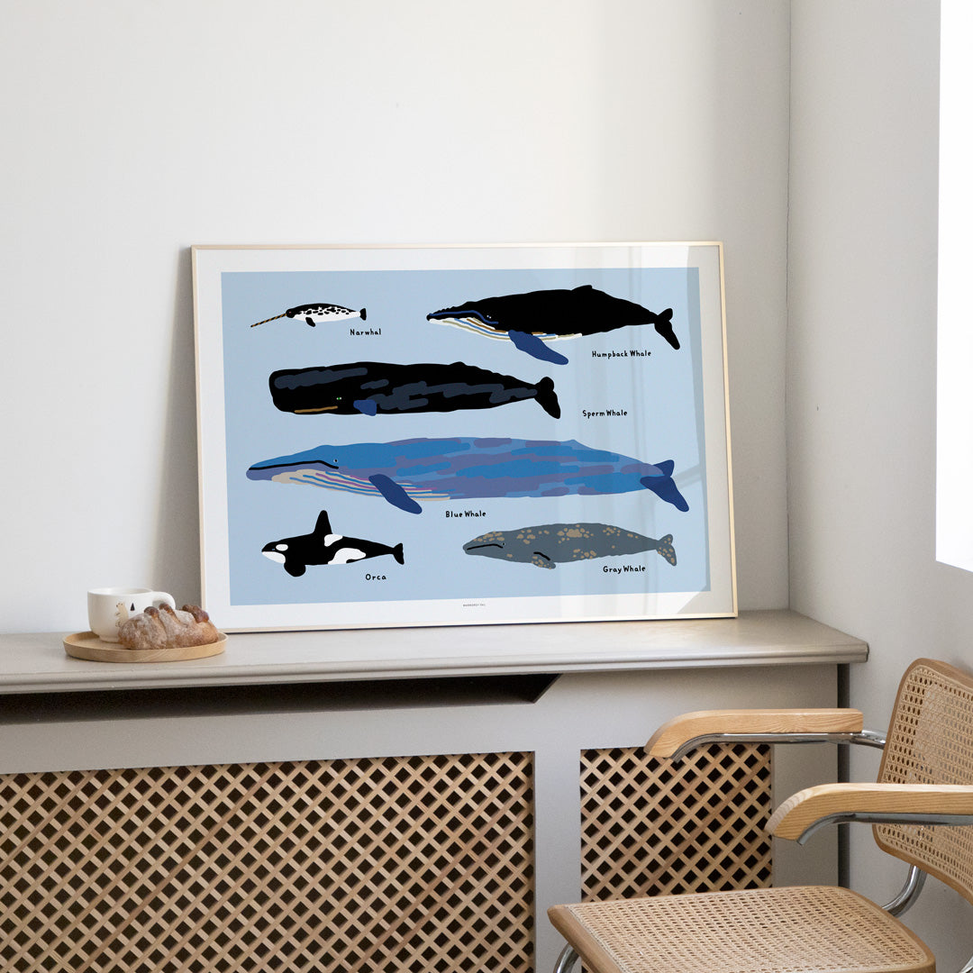 Whales Poster in White Frame