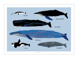 Whales Poster in White Frame
