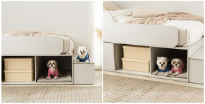Coconi Storage Bed (accept pre-order)