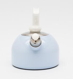 RIESS Water Kettle With Whistle – LT.BLUE